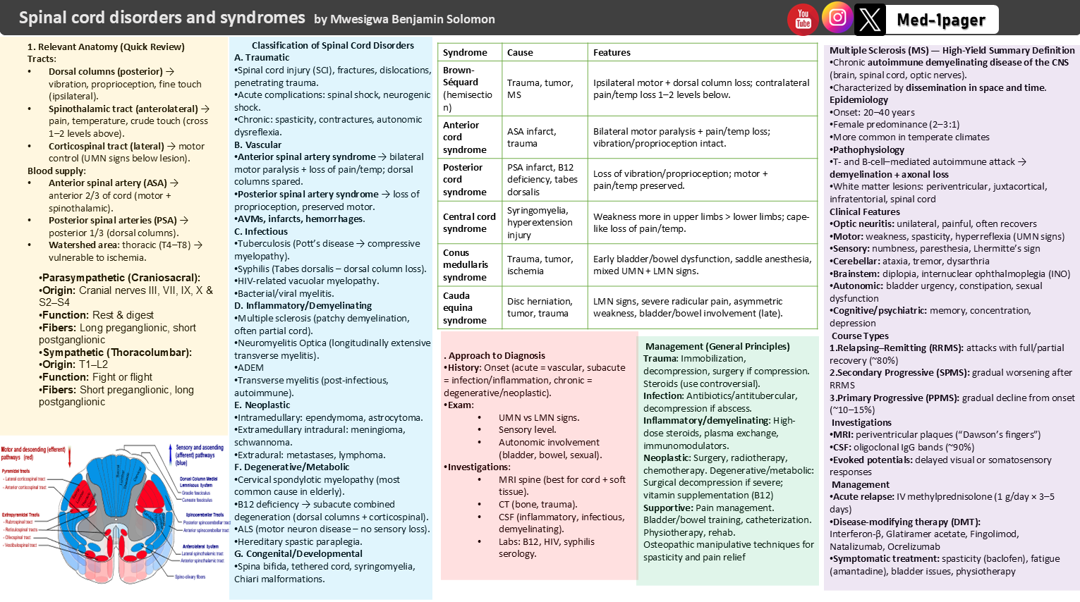 Spinal cord disorders summary preview